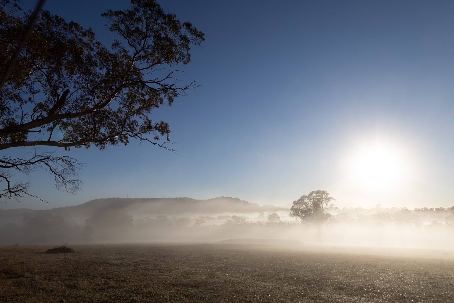 Mount Alexander at Dawn
